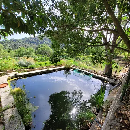 Domaine De La Cascade Parfumee *